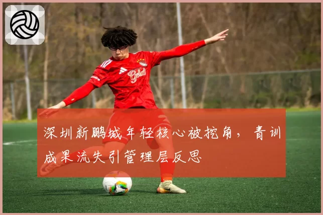 深圳新鹏城年轻核心被挖角，青训成果流失引管理层反思