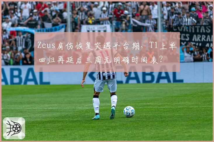 Zeus肩伤恢复突遇平台期，T1上单回归再延后三周无明确时间表？
