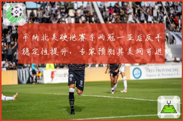 辛纳北美硬地赛季两冠一亚后反手稳定性提升，专家预测其美网可进决赛