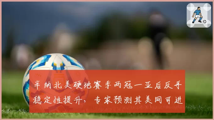 辛纳北美硬地赛季两冠一亚后反手稳定性提升，专家预测其美网可进决赛